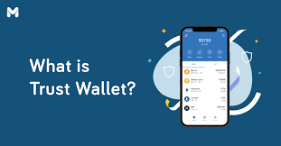 Trust Wallet vs. the Rest: Why Trust Matters post thumbnail image
