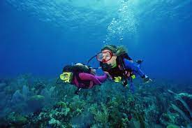 Leap Deeper: The Best Scuba Diving Websites in Phuket post thumbnail image