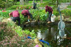 Pond Harmony: Expert Maintenance for a Balanced Ecosystem post thumbnail image