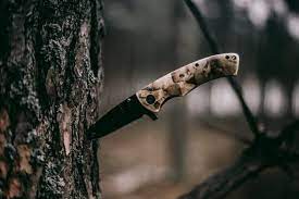 Choosing the Right Blade Material for Hunting Knives post thumbnail image