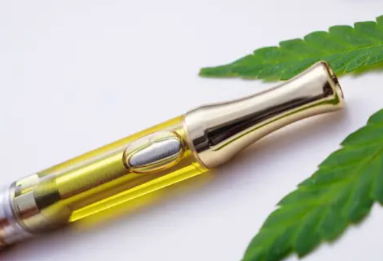 THC Cartridges: Live Resin’s Distinctive Flavors Profile post thumbnail image