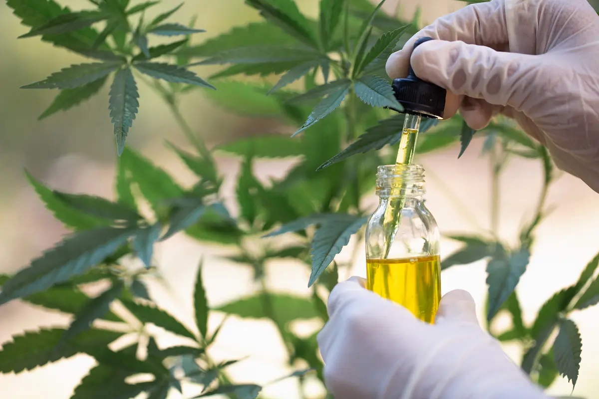 THCJD: The Next Frontier in Cannabinoid Research post thumbnail image